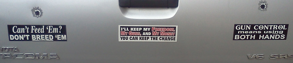 Bumper Sticker - Charlottesville VA - Gun Control