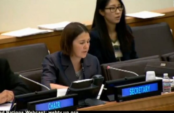 UN AntiIsrael Resolutions Interpreter