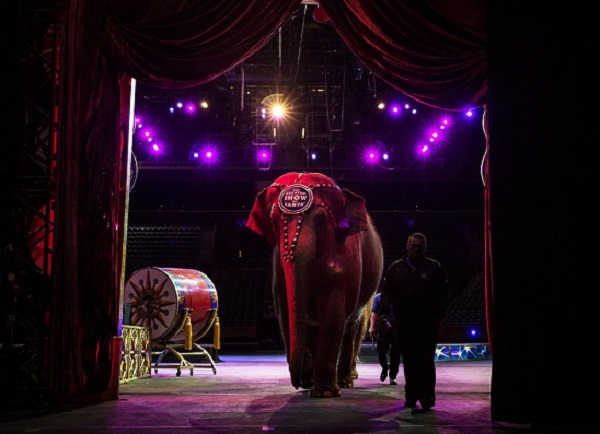 Ringling Bros. And Barnum & Bailey Circus To End Its 146-Year Run