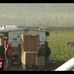 White House Prioritizes Domestic Phosphorus, Glyphosate Production for Food Security