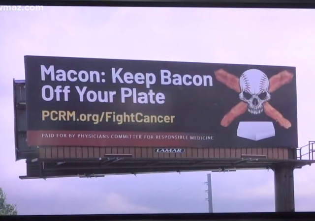 Macon Bacon baseball team faces call to change name over