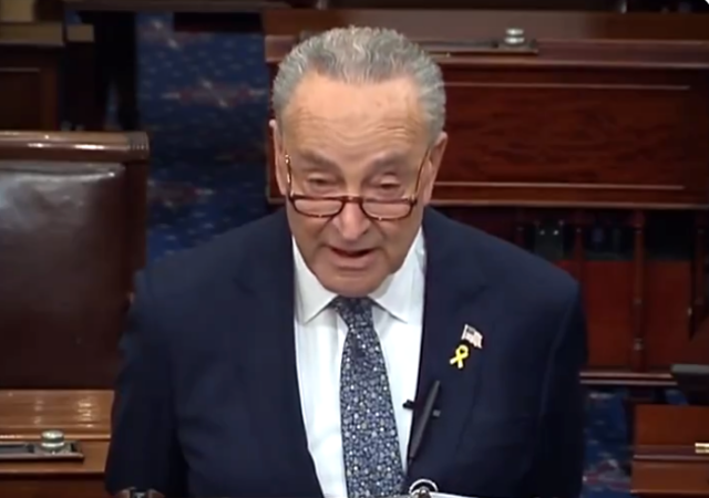 Chuck Schumer Has Become a Useful Idiot for the Anti-Israel Left