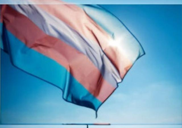 Montana High Court Allows ‘Gender Identity’ Birth Certificates, Driver’s Licenses