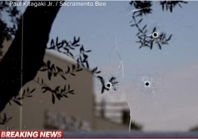 legalinsurrection.com