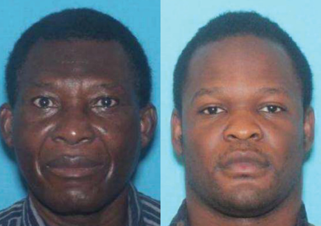 legalinsurrection.com