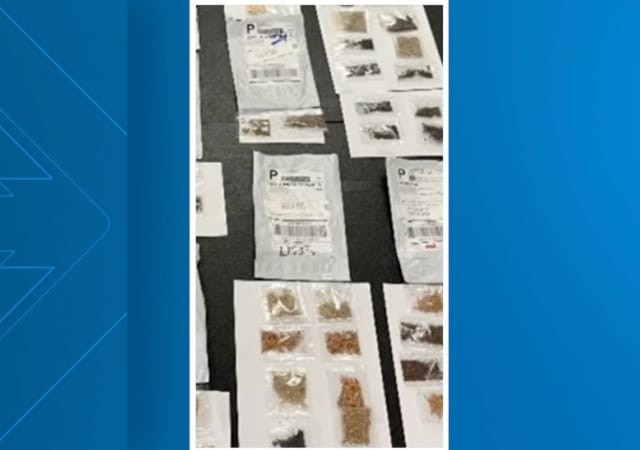Texas Agriculture Chief Issues Warning over New Wave of Mystery Seed Packages from China