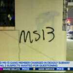 DHS has Arrested Over ‘7,800 Criminal Illegal Alien Gang Members’ Under Trump