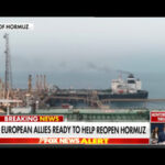 Top Europe Nations, Japan Ready to ‘Contribute’ Efforts to Protect Strait of Hormuz