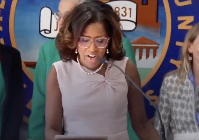 Pro-Israel Democrat Candidate Wins IL-02 Primary: ‘Social Media Is Not Real Life’