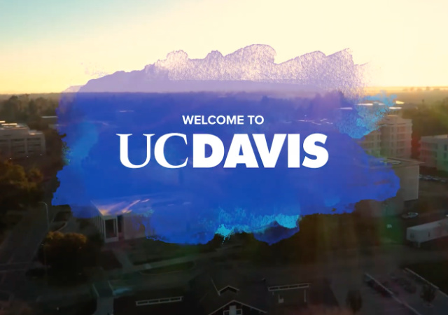 UC STEM Professors Want to Restore SAT, ACT Requirements