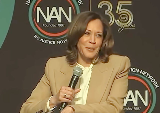 Report: Kamala Harris Calling Mamdani, Meeting Anti-Israel Activists